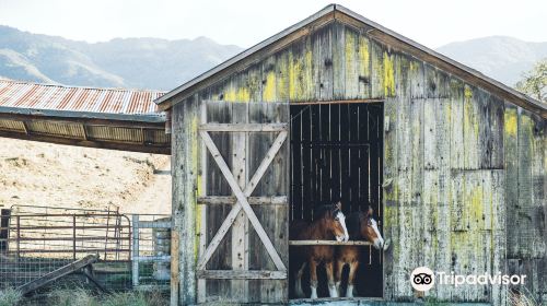 Folded Hills Farmstead