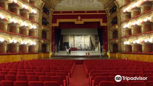 Teatro Massimo Bellini