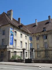 Musée des Beaux-Arts de Dole