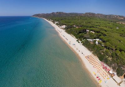 Itinera Beach - Turistica Service