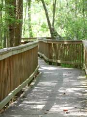 Tree Hill Nature Center