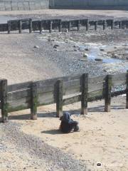 Western Undercliff Beach