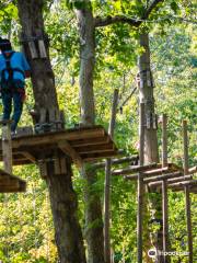 The Adventure Park at The Discovery Museum