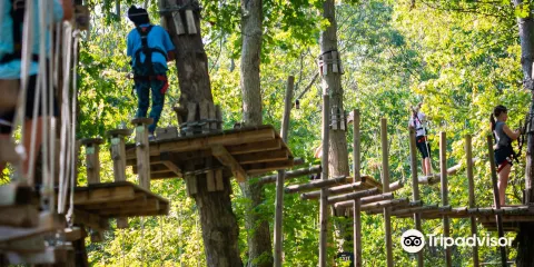 The Adventure Park at The Discovery Museum