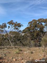 Mount Majura