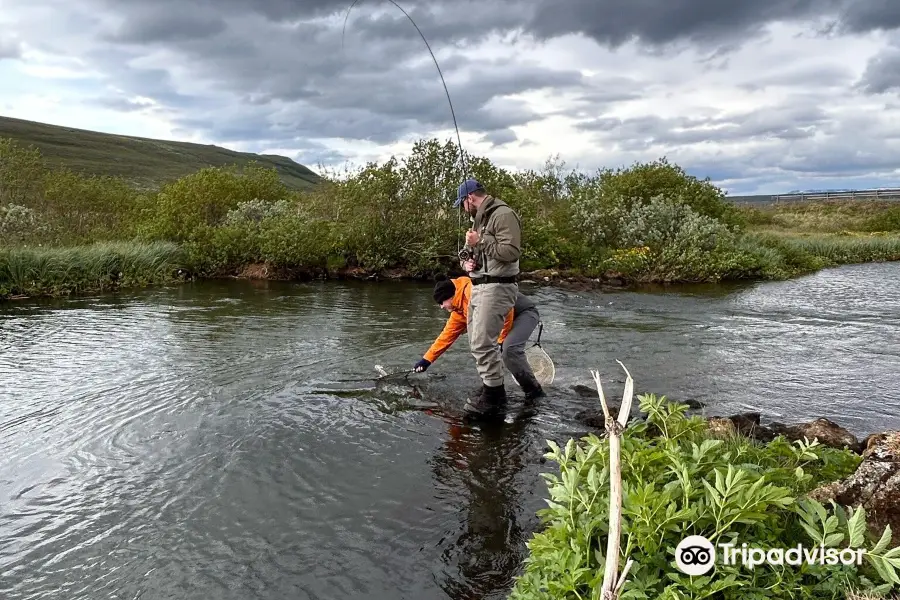 Iceland Fishing Guide
