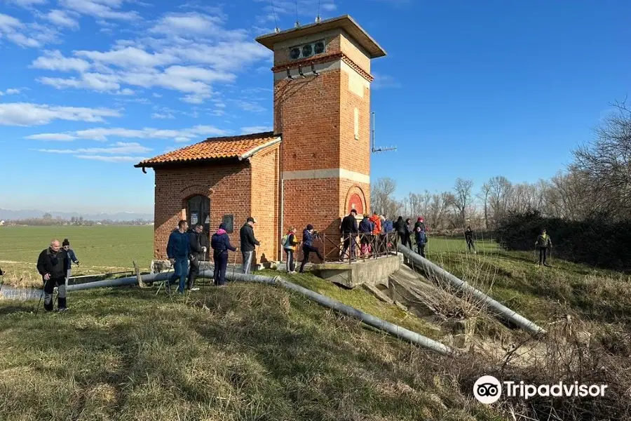 Parco regionale di interesse locale del Reghena, Lemene. Laghi di Cinto