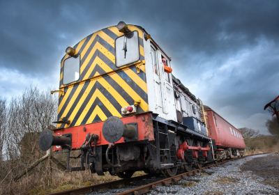 Llanelli & Mynydd Mawr Railway