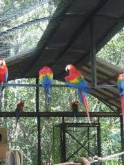 Bioparque Amazonia Safari