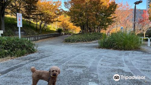 都築中央公園