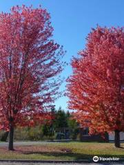 Balsam Lake Provincial Park