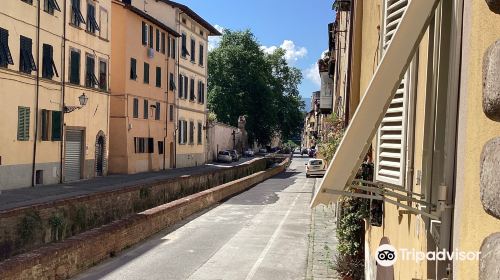 Via del Fosso di Lucca