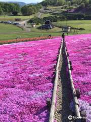 太陽の丘えんがる公園