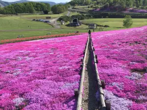 Taiyou no Oka Engaru Park