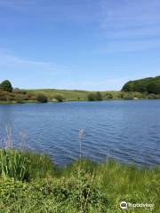 Talkin Tarn Country Park