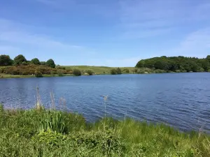 Talkin Tarn Country Park