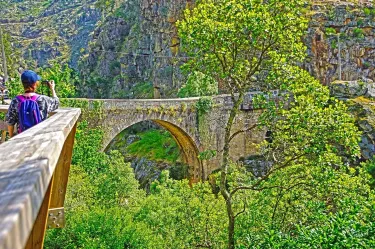 Arouca