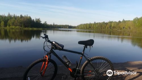 Irishtown Nature Park