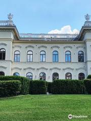 Museum Milavida