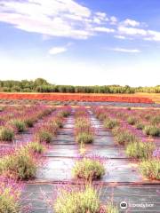 Island Lavender Farm Market