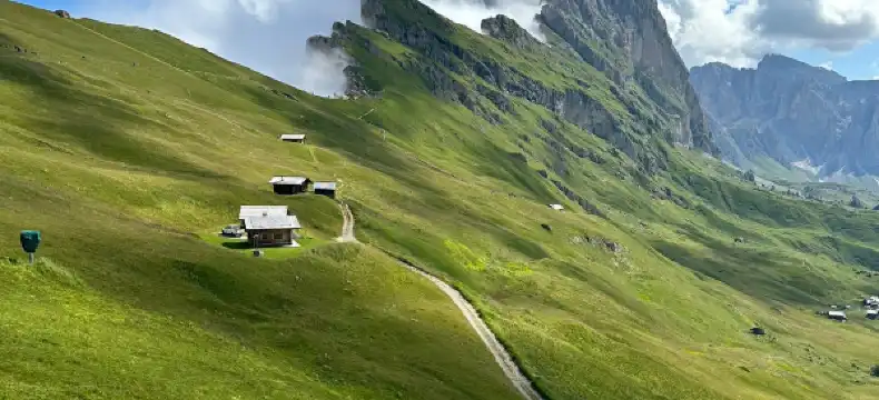 ออร์ติเซ