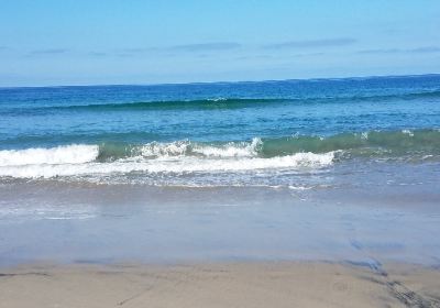 Torrey Pines State Beach