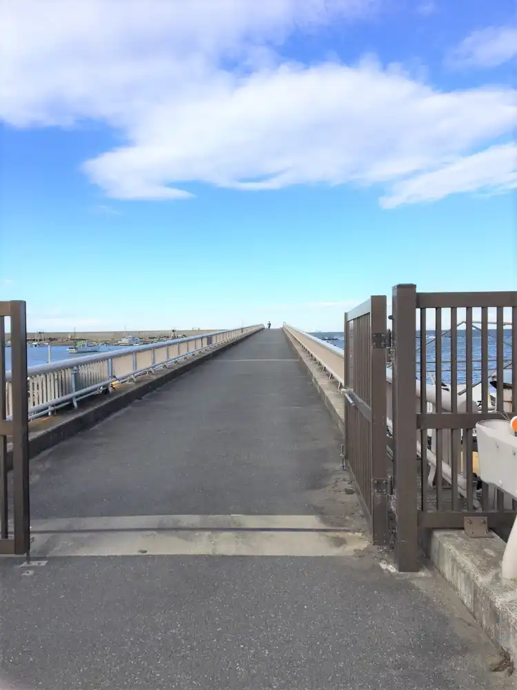 Hotels near Hashirimizu Beach