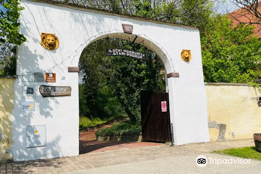 Old Wine Cellars