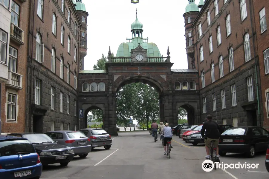 Bike Copenhagen with Mike