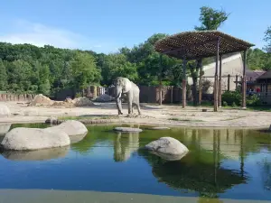 克利夫蘭動物園