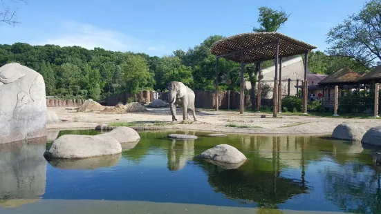 克利夫蘭動物園