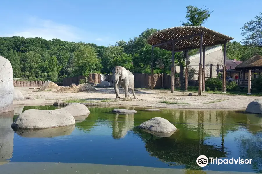 克利夫蘭動物園