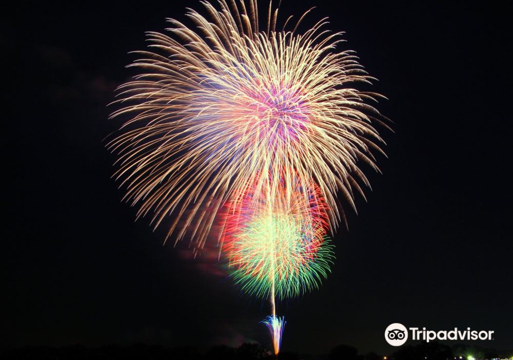 Koga Fireworks | Koga