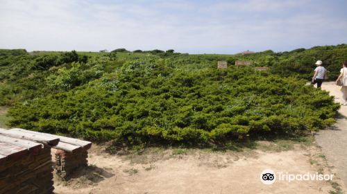 Yagishiri Island