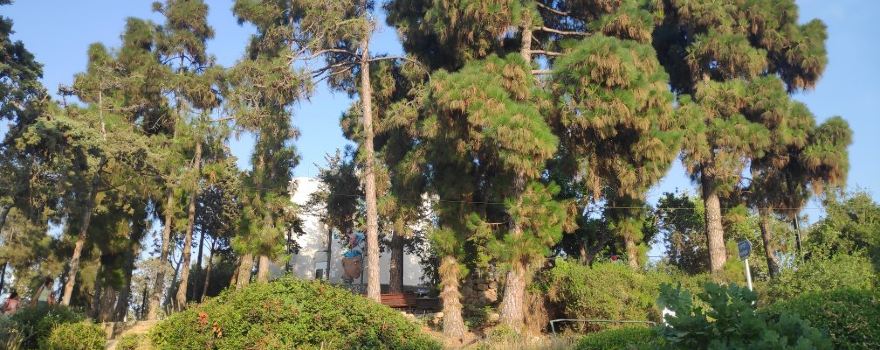 Givatayim Observatory and Garden
