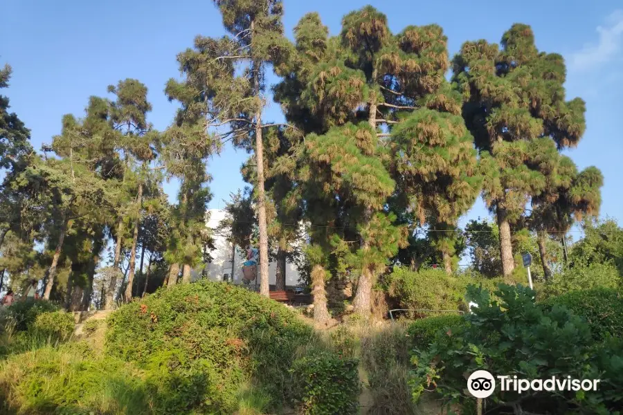 Givatayim Observatory and Garden