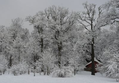 Jardin botanique de l'université de Turku