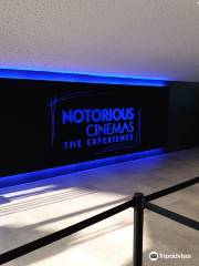 Notorious Cinemas