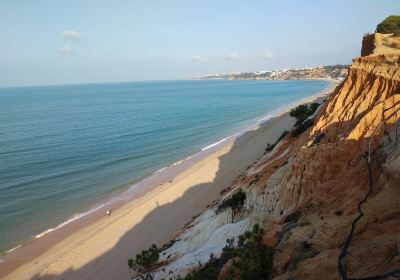 Playa de Falesia