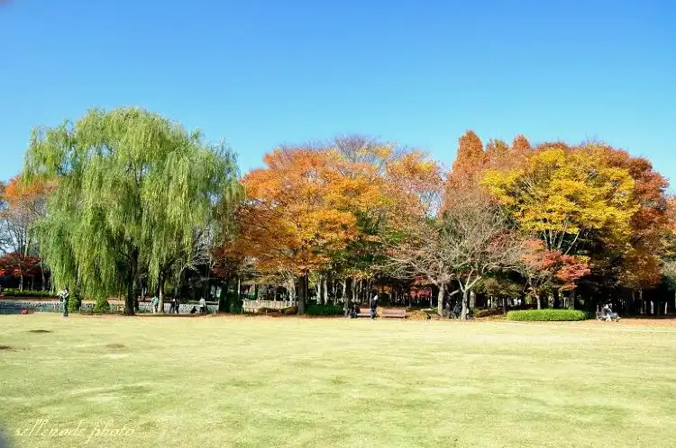 도호 공원 주변 호텔