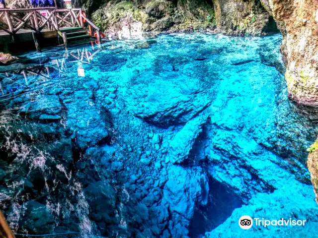 Diving in Punta Cana