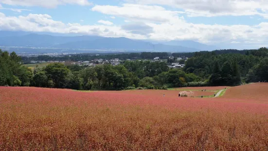 Akasoba no Sato