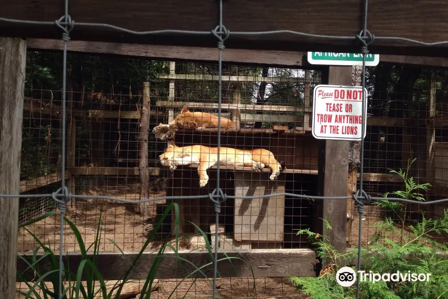 Spruce Haven Zoo