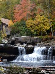 Babcock State Park