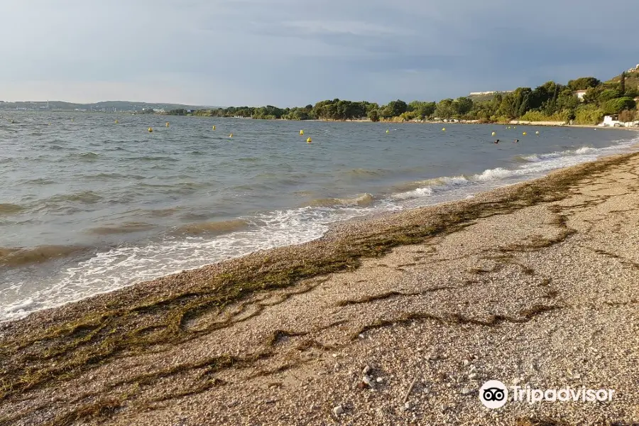 La plage des Marettes