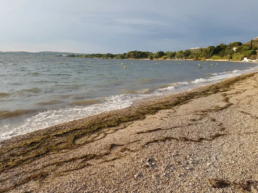 Hotels near La plage des Marettes