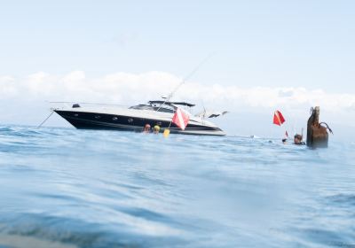 Maui Yacht Charters