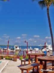 Manta Divers Cancun