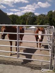 Sweet Meadow Farm