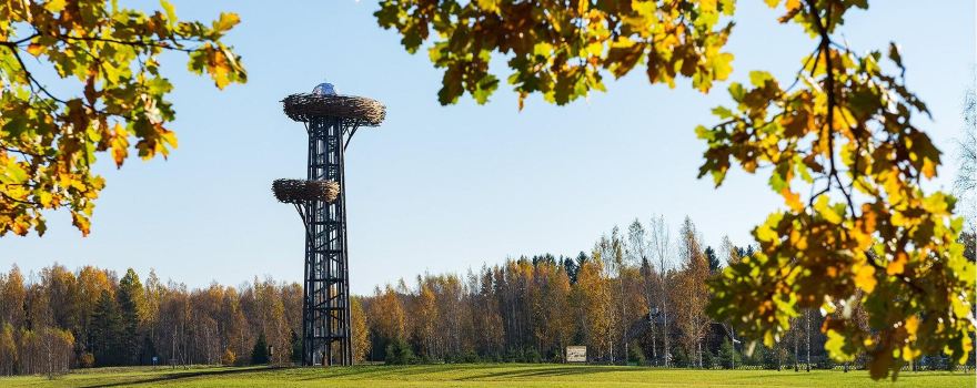 The Pesapuu Watchtower